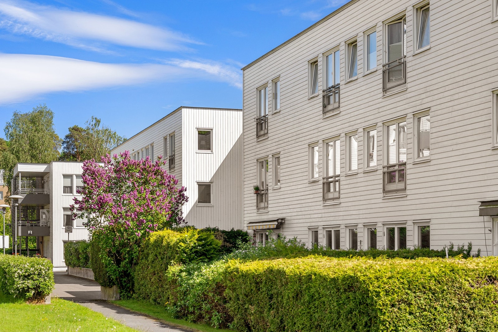 Fellesarealer med pent opparbeidet med gressplen, diverse beplantning og asfalterte internveier. Galleribilde