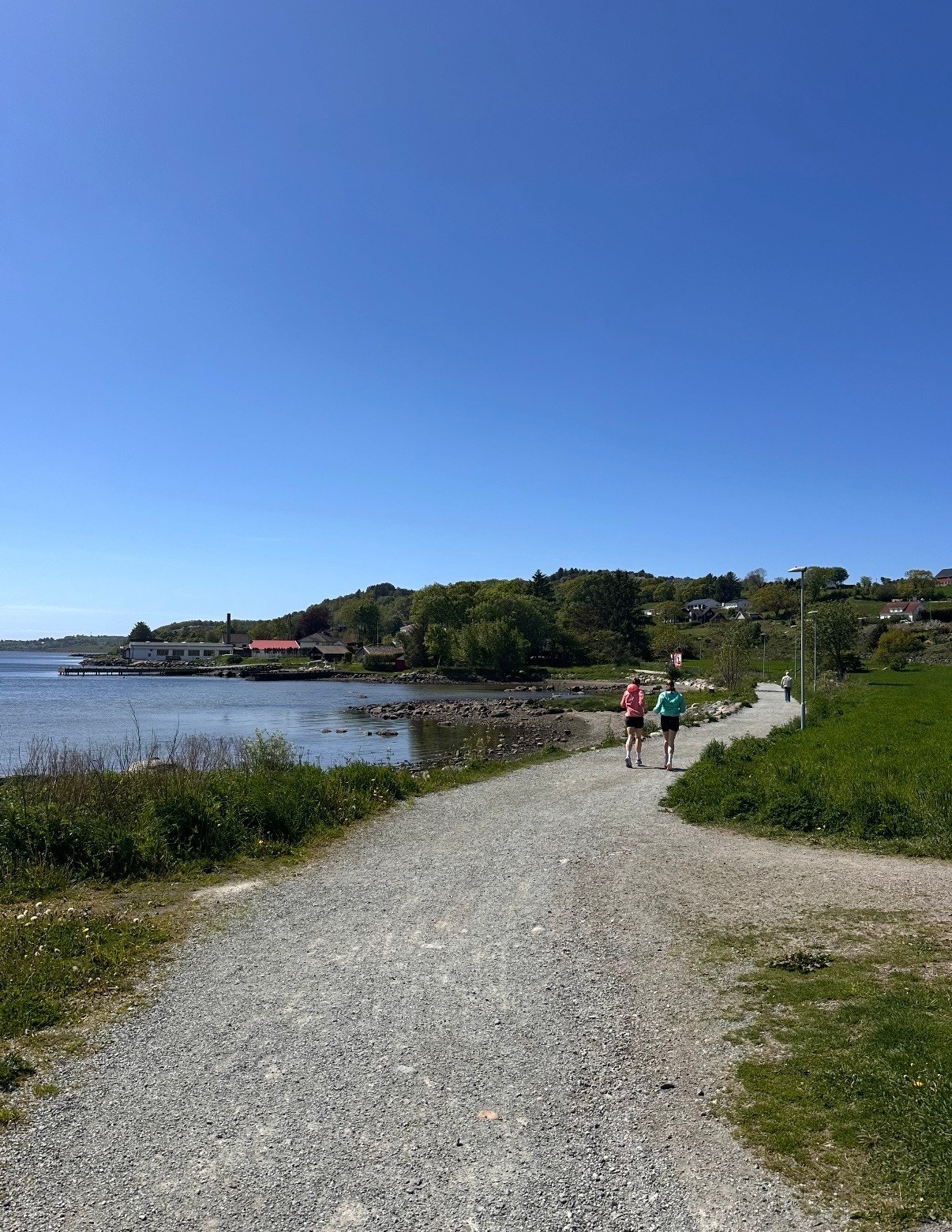 Nærområdet - byens fineste tursti tar deg fra Møllebukta til Viste Galleribilde