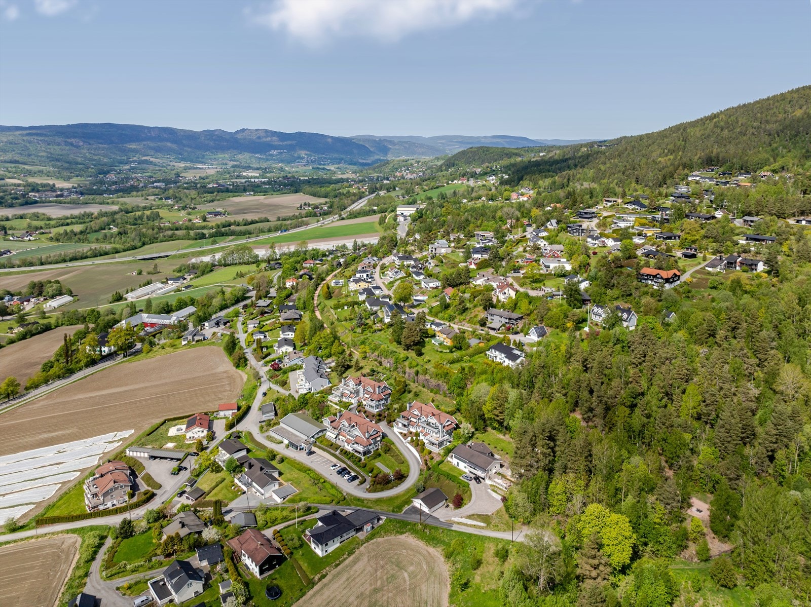 "Grønne" Lier Galleribilde