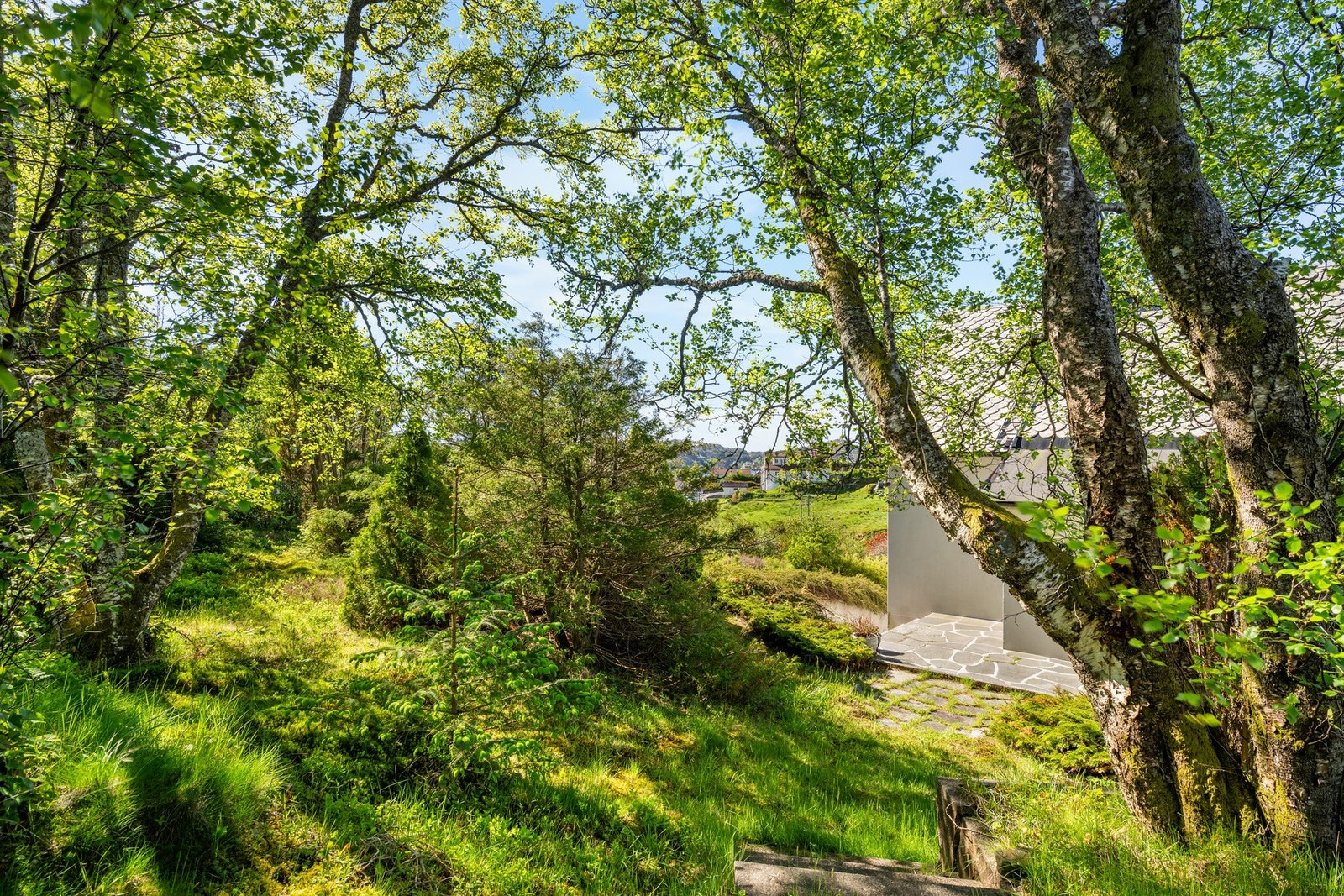 Hagen er stor og herlig Galleribilde