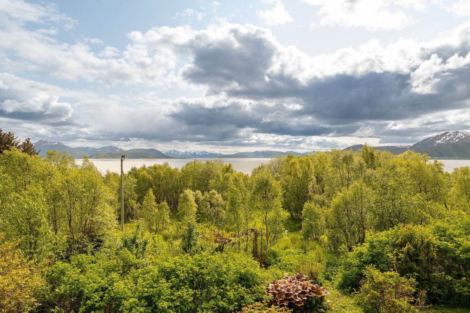 Utsikten fra eiendommen. Galleribilde