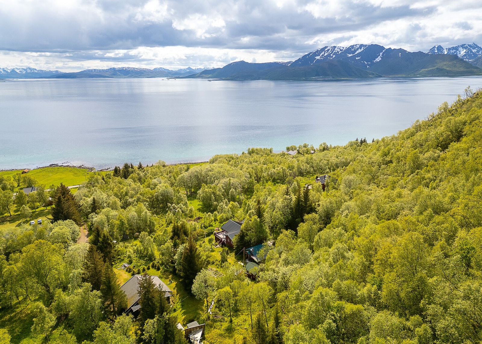 Lun plassering i skogkanten med delvis hav- og fjellutsikt, omgitt av rolige og naturskjønne omgivelser med spredt bebyggelse. Galleribilde