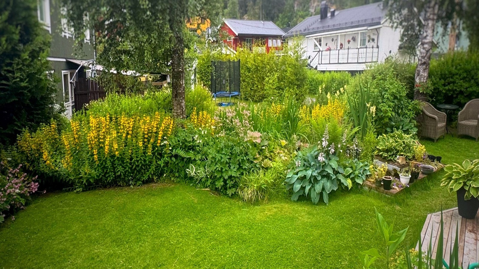 Bilde fra selger Galleribilde