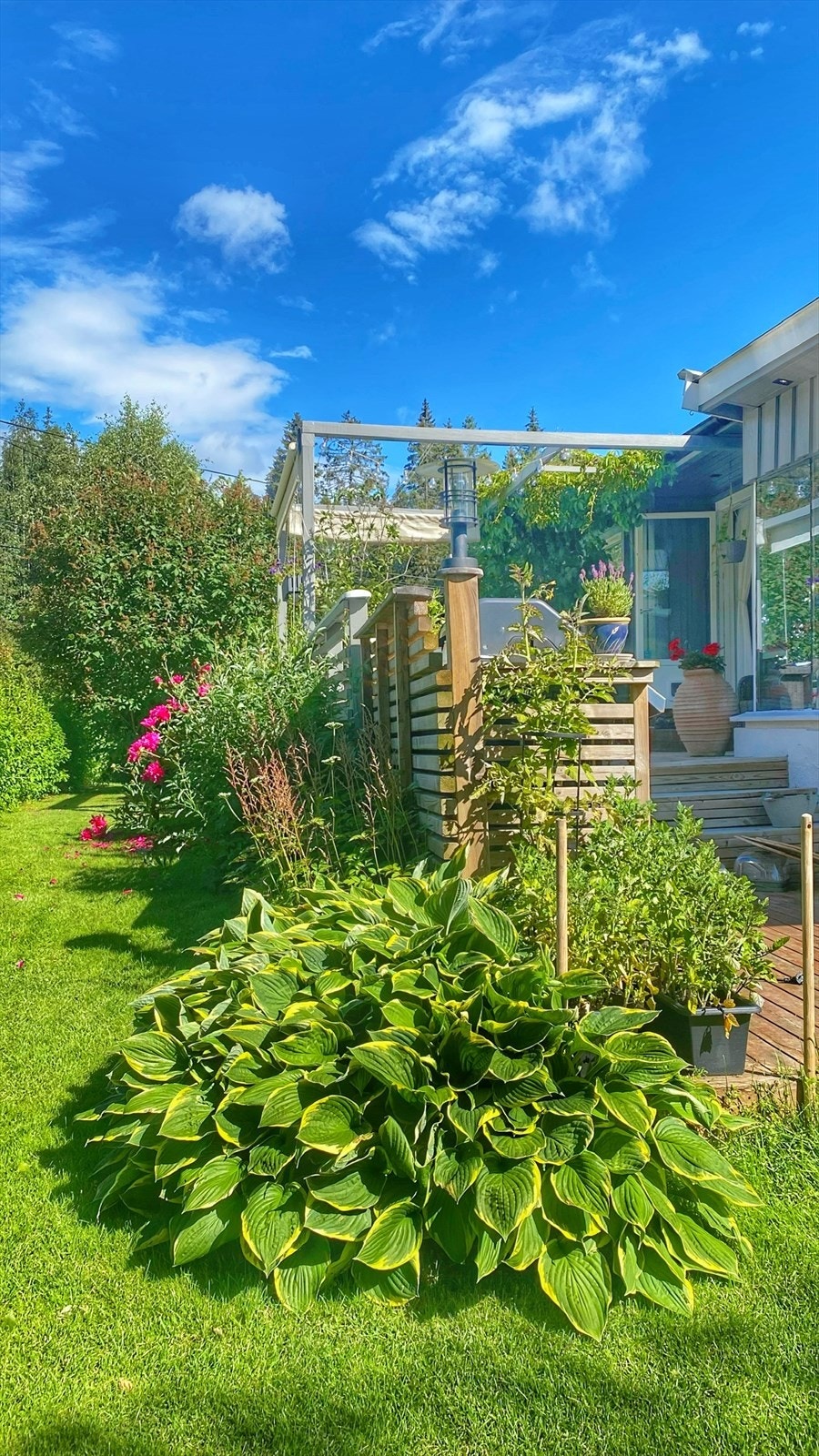 Selgers bilde fra sommer Galleribilde