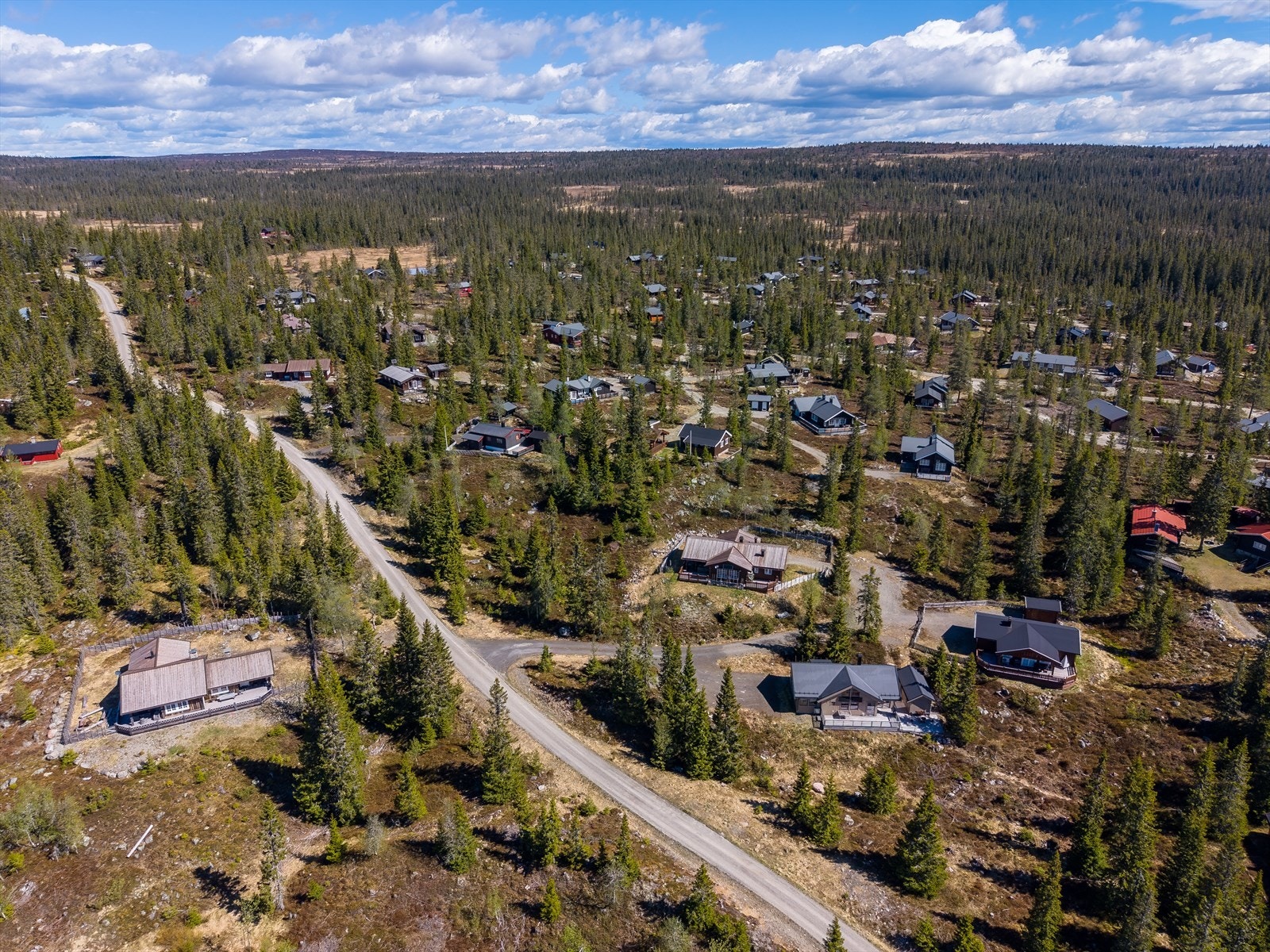 Velkommen til visning - Husk påmelding! Galleribilde