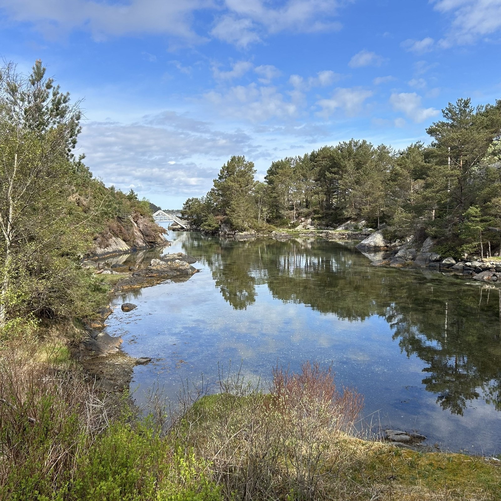 Badeviken er svært populær. Galleribilde