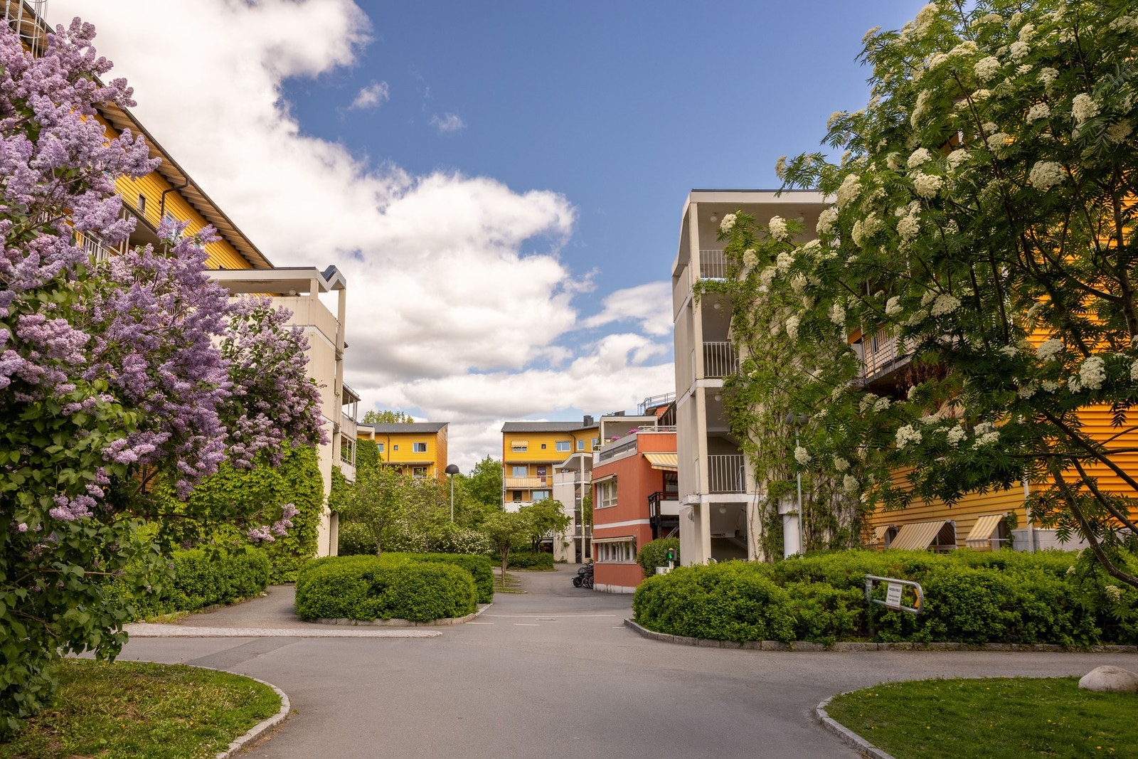 Casinetto borettslag ligger skjermet til i området mellom Frognerparken og Skøyenparken, også kalt Den engelske park. Galleribilde
