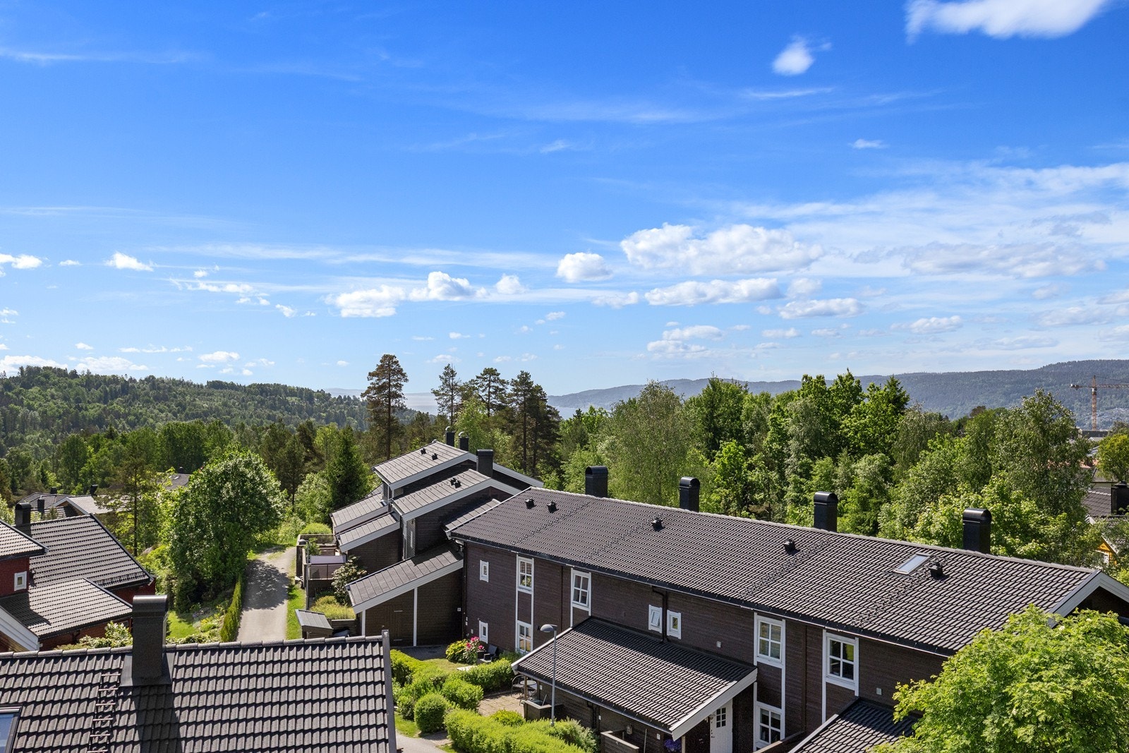 Utsikt over grønne og rolige omgivelser. Galleribilde