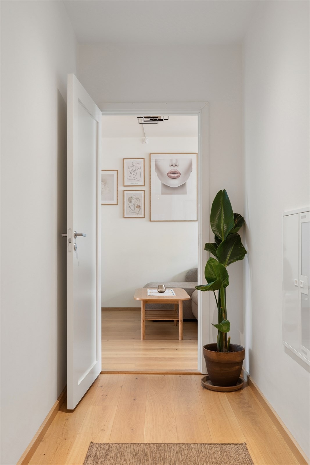 Gangen er lys og innbydende, utstyrt med garderobeskap. Galleribilde