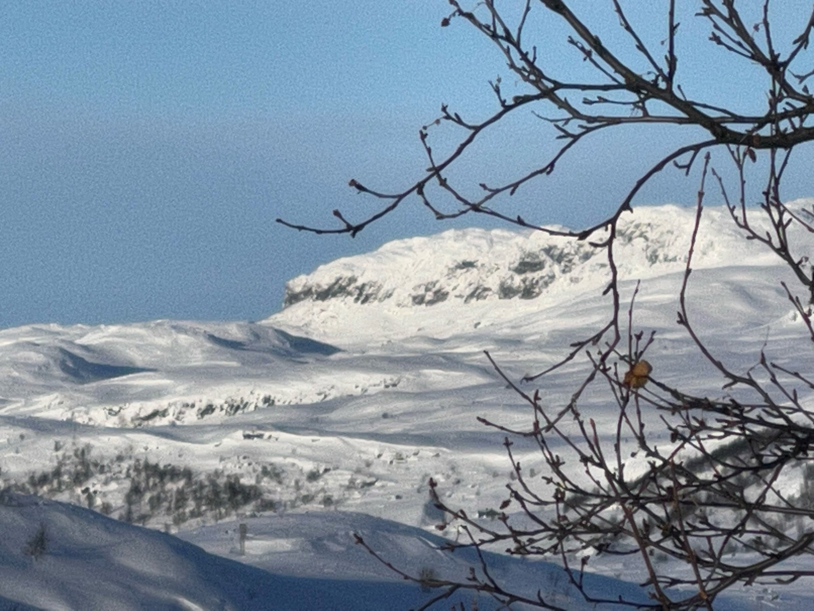 Utsikt fra hytta mot Skarvheimen Galleribilde