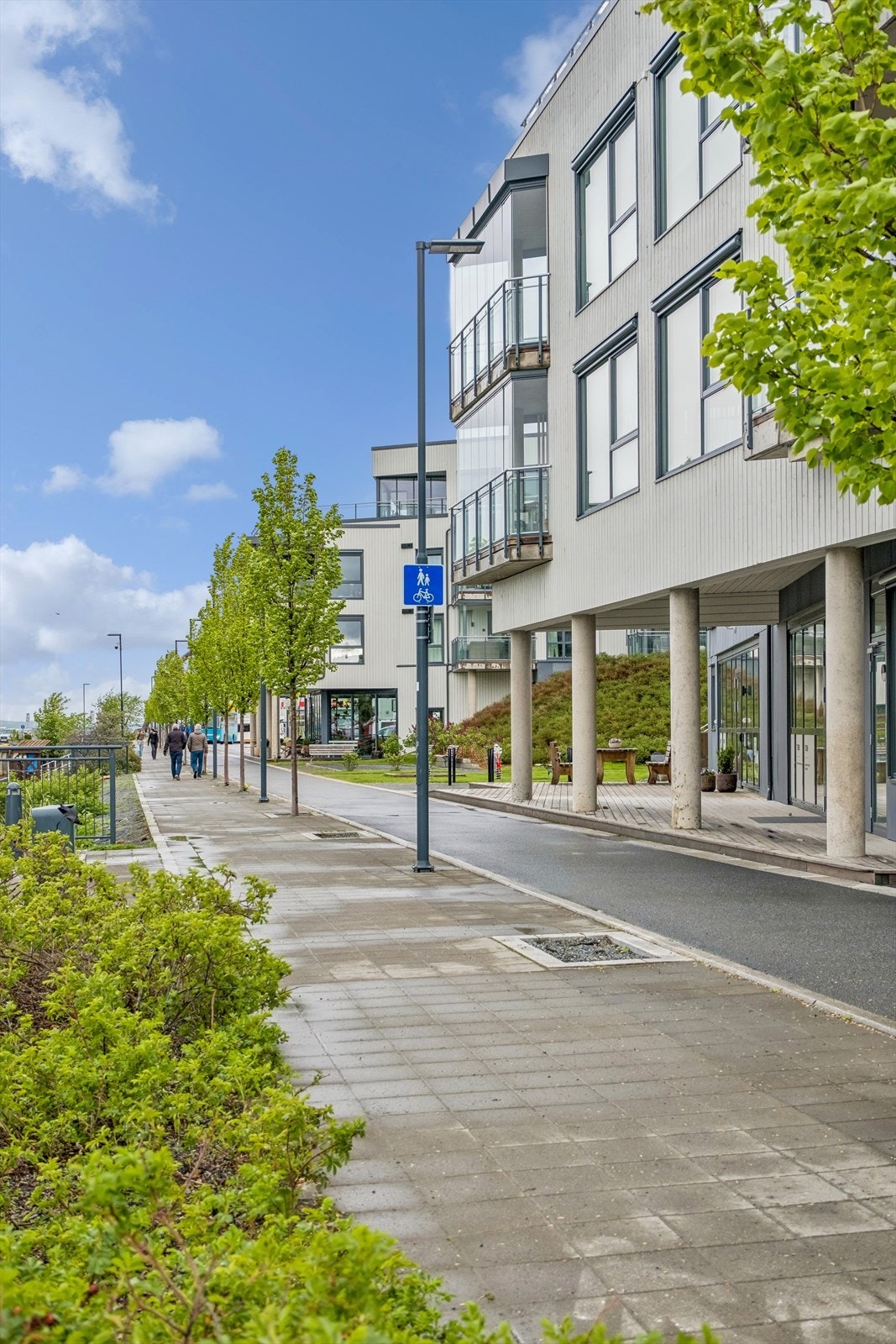 Area Galleribilde