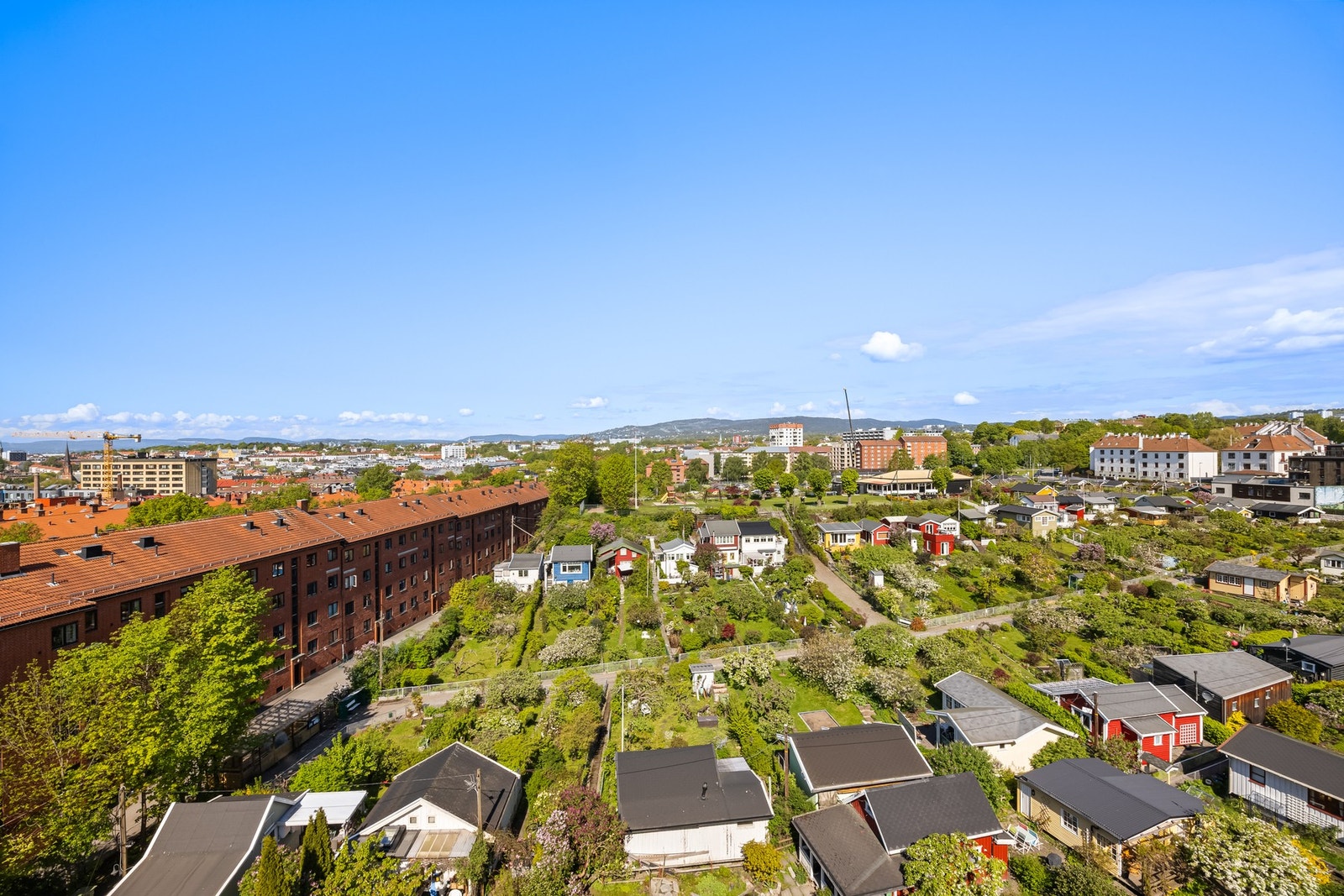 Utsikt over Rodeløkkens kolonihager. Galleribilde