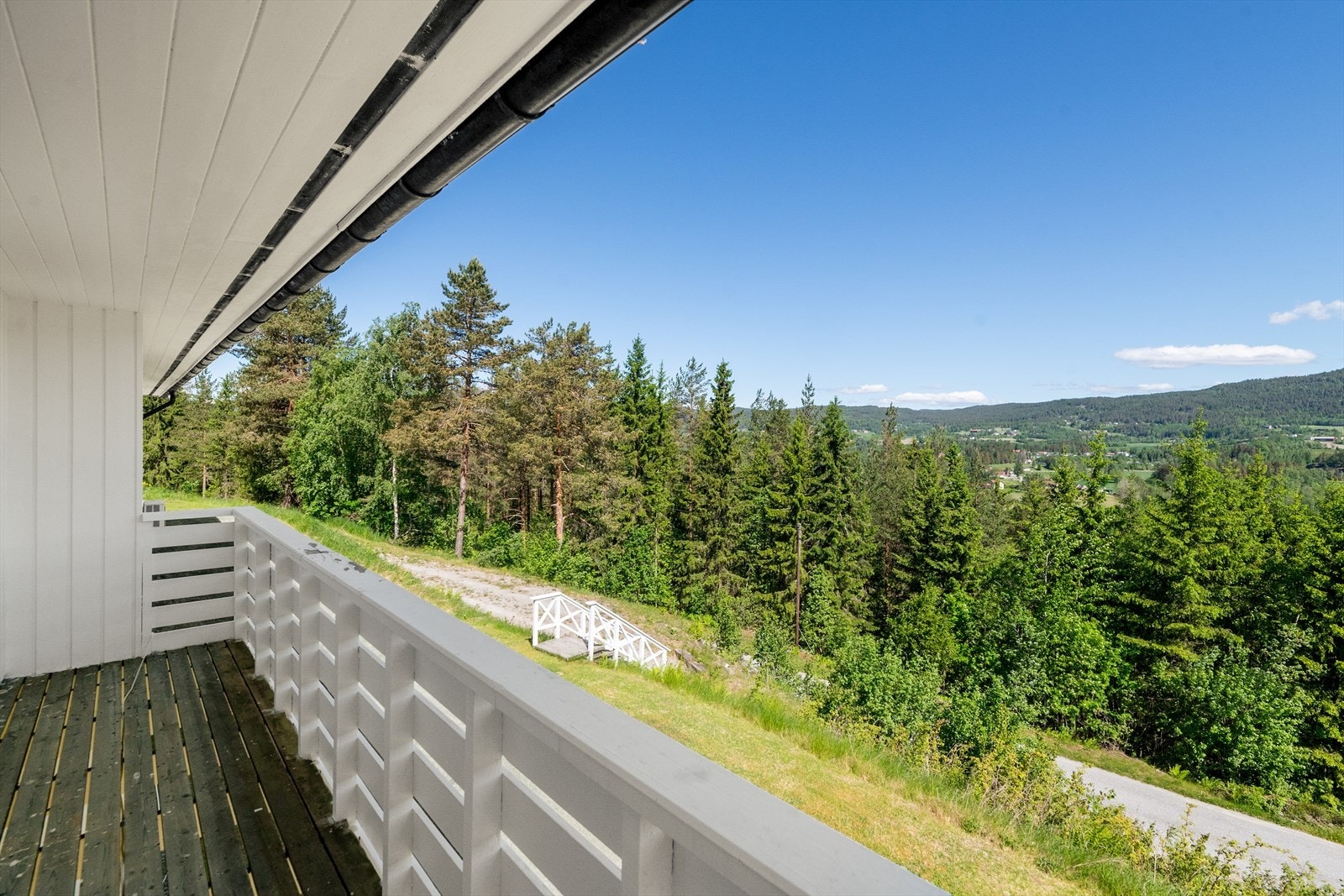 Utsikt fra verandaen mot skog og natur. Galleribilde