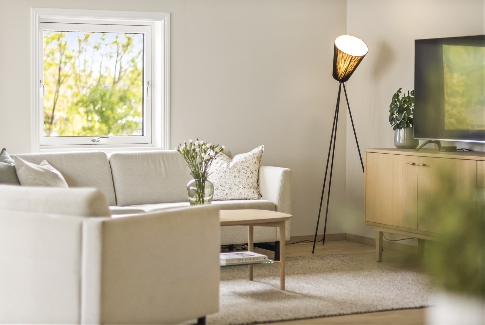 Store vindusflater slipper inn rikelig med dagslys Galleribilde