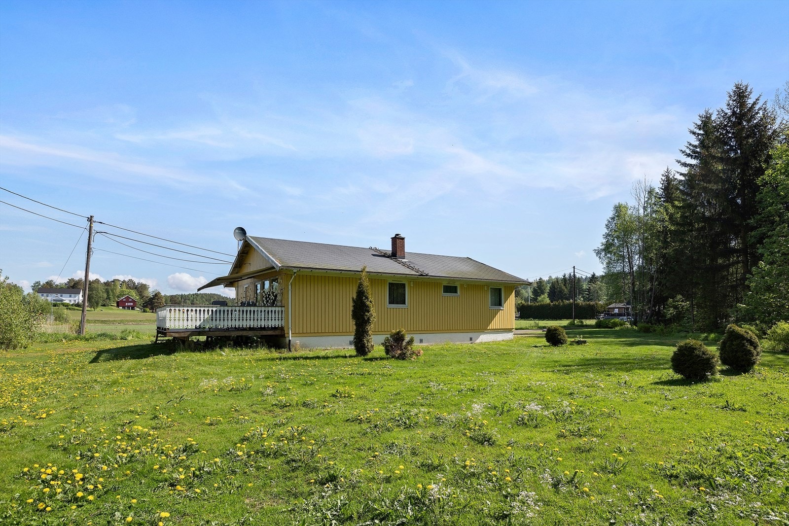 Stor, flat gressplen - perfekt for lange sommerdager med lek og sosiale sammenkomster! Galleribilde
