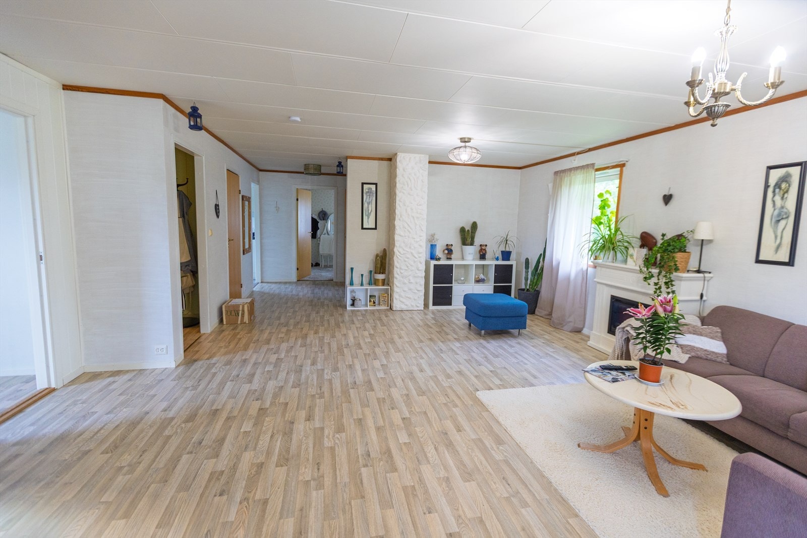 Selgers private bilde. Galleribilde