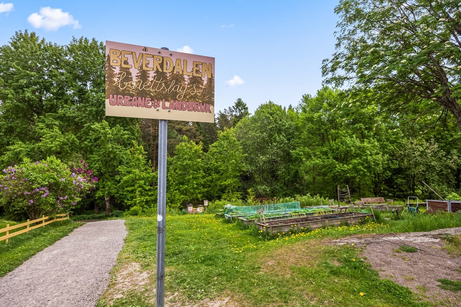 Beverdalen borettslag har etablert et eget område for urbant landbruk, et frivillig initiativ for beboerne. Galleribilde