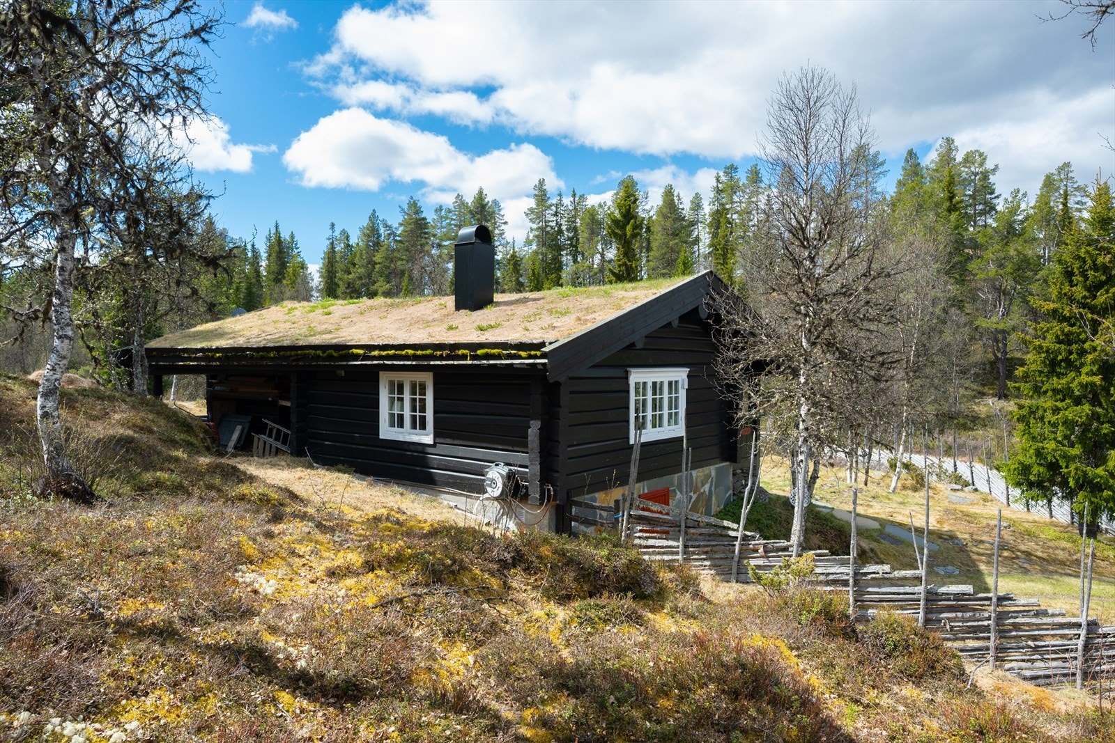 Velkommen på visning - husk å melde deg på! Galleribilde
