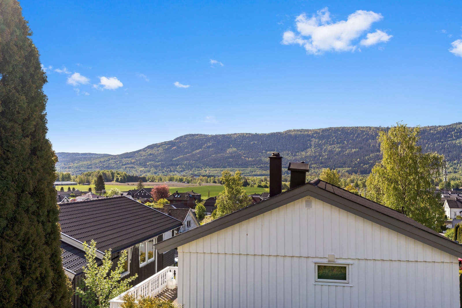 Flott utsikt Galleribilde