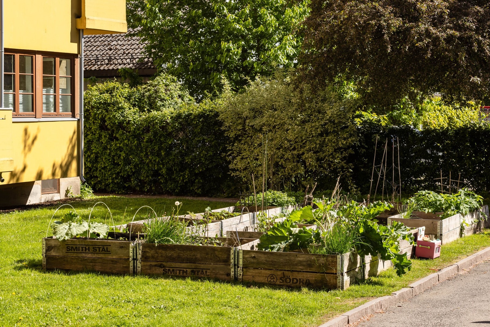 Aksjelaget har fine frodige fellesarealer som er pent opparbeidet med bla. plen, beplantning, sittegrupper og plantekasser. Galleribilde