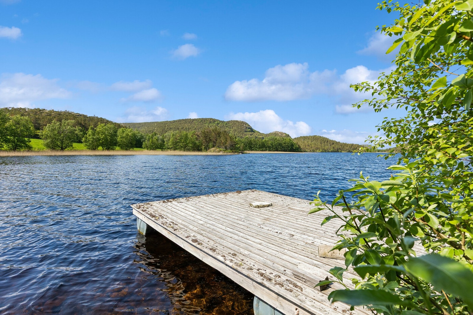 Like ved hytten ligger en brygge på vannet som man fint kan bruke til fiske og bading. Galleribilde