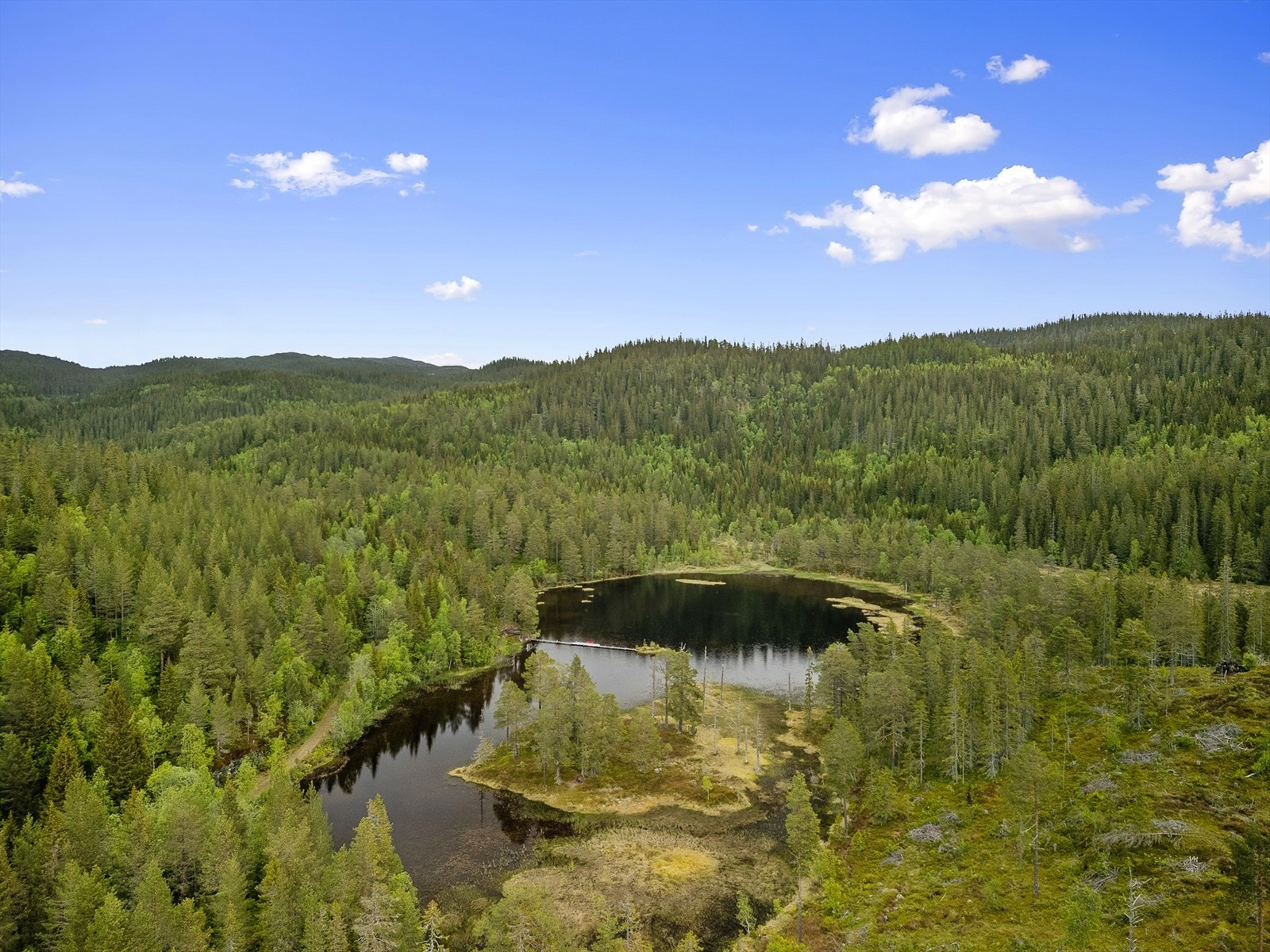 Turen starter fra egen eiendom! Stamntjønna ligger like ovenfor eiendommen, med tursti helt fram. Galleribilde
