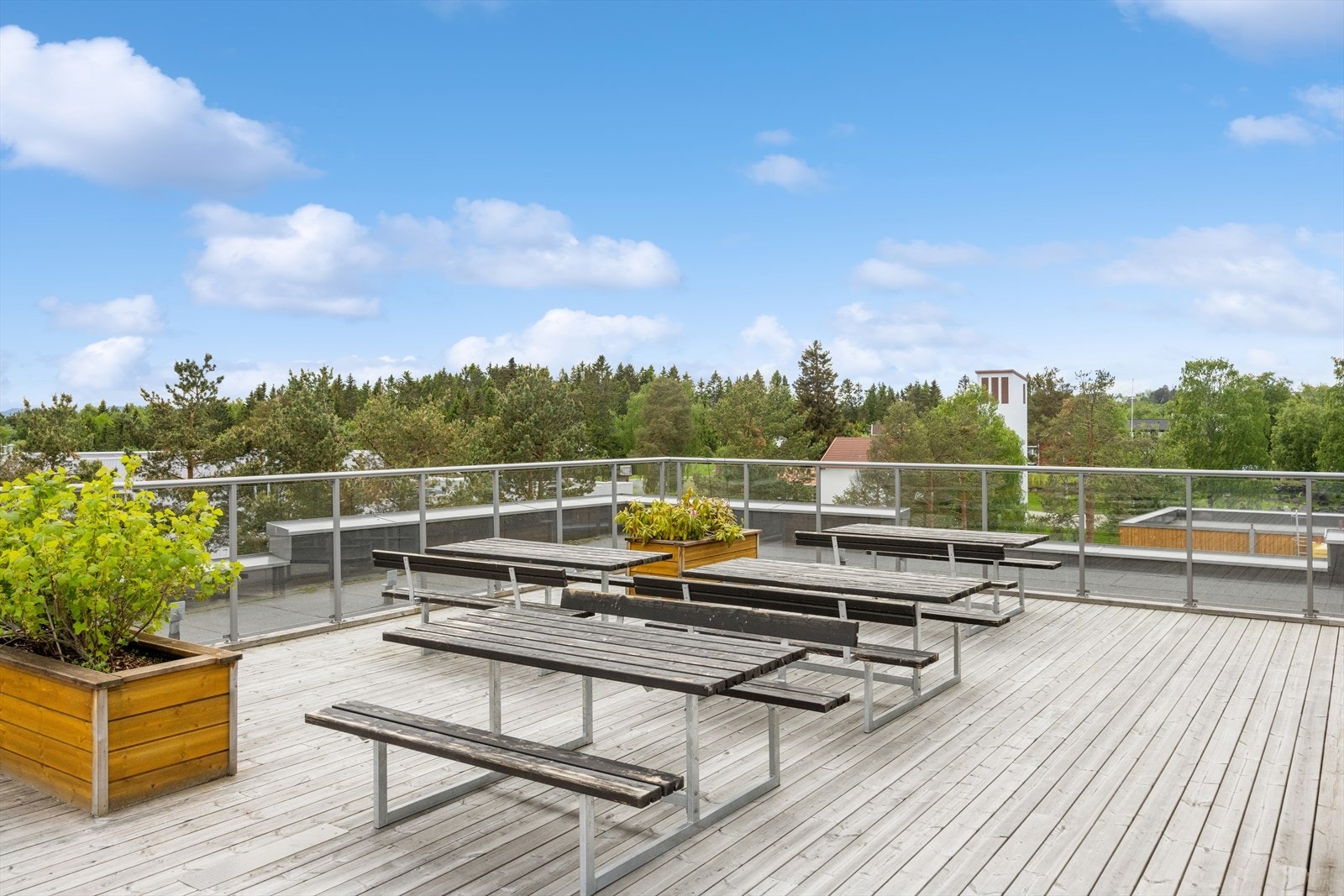 Felles takterrasse. Galleribilde