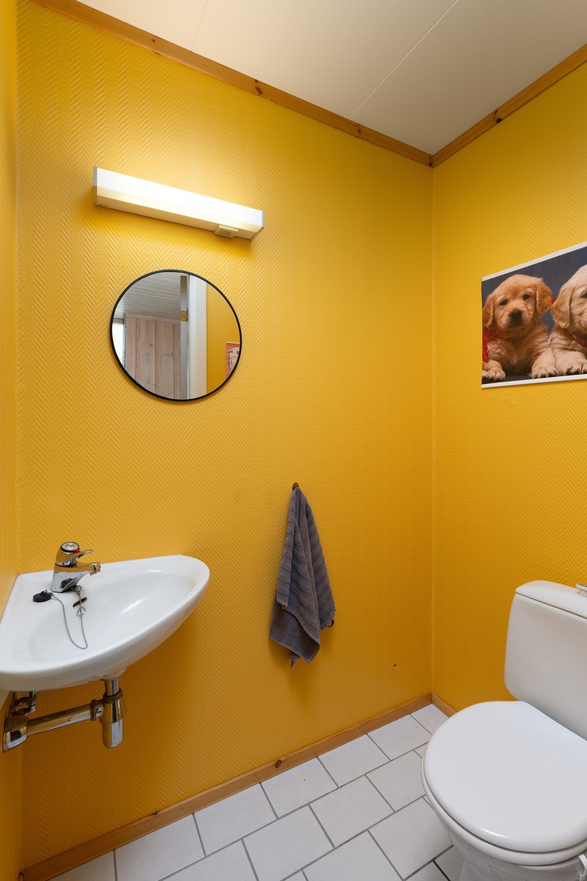 Eget WC-rom Galleribilde