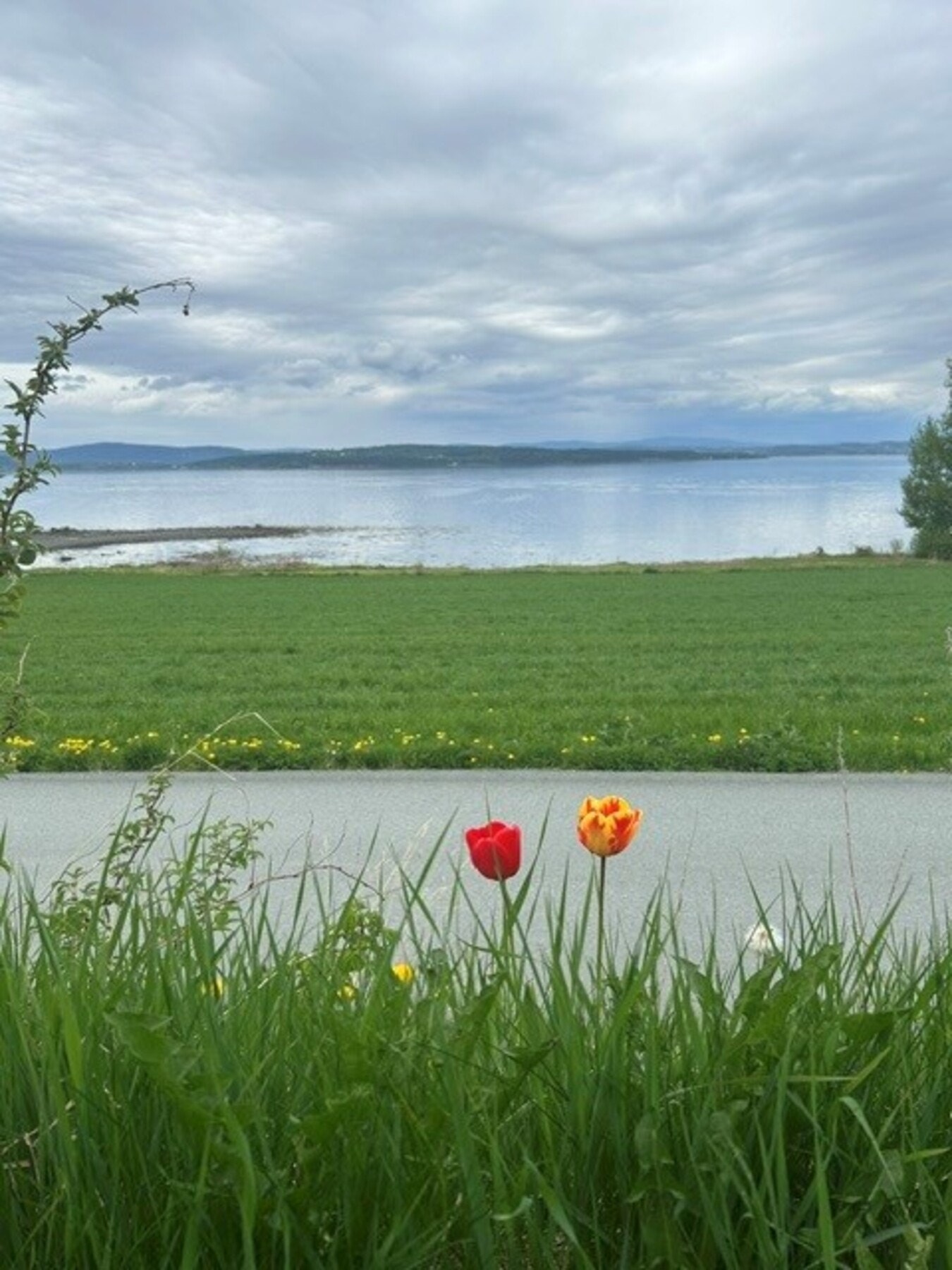 Bilde tatt av selger. Galleribilde