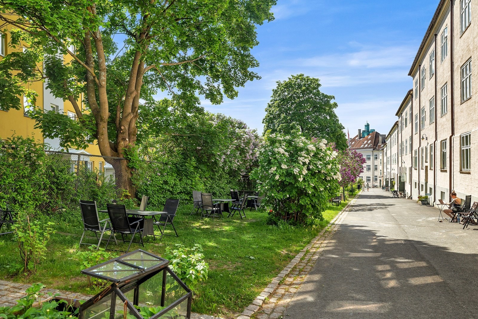 Rolig, utraffikert bakgate. Galleribilde