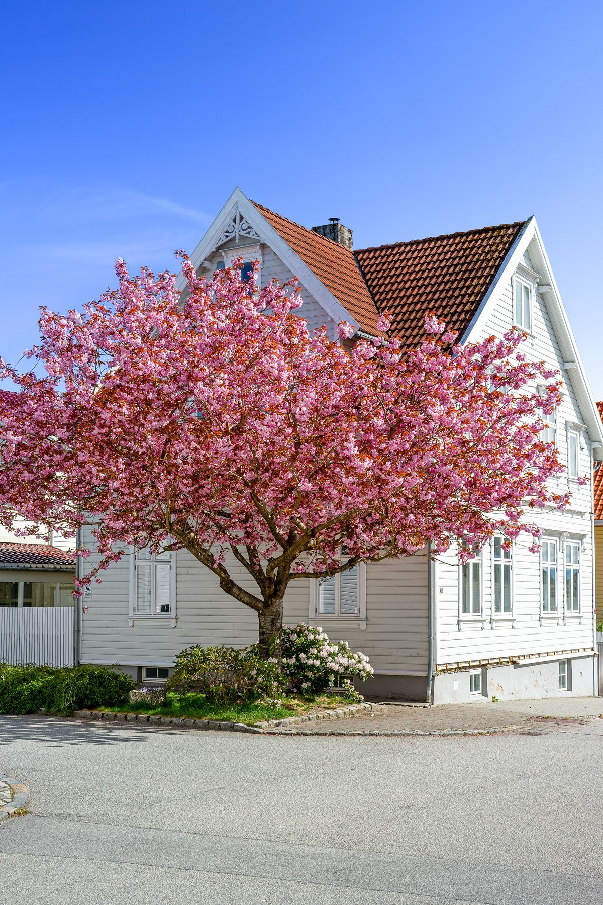 Velkommen til visning! Galleribilde
