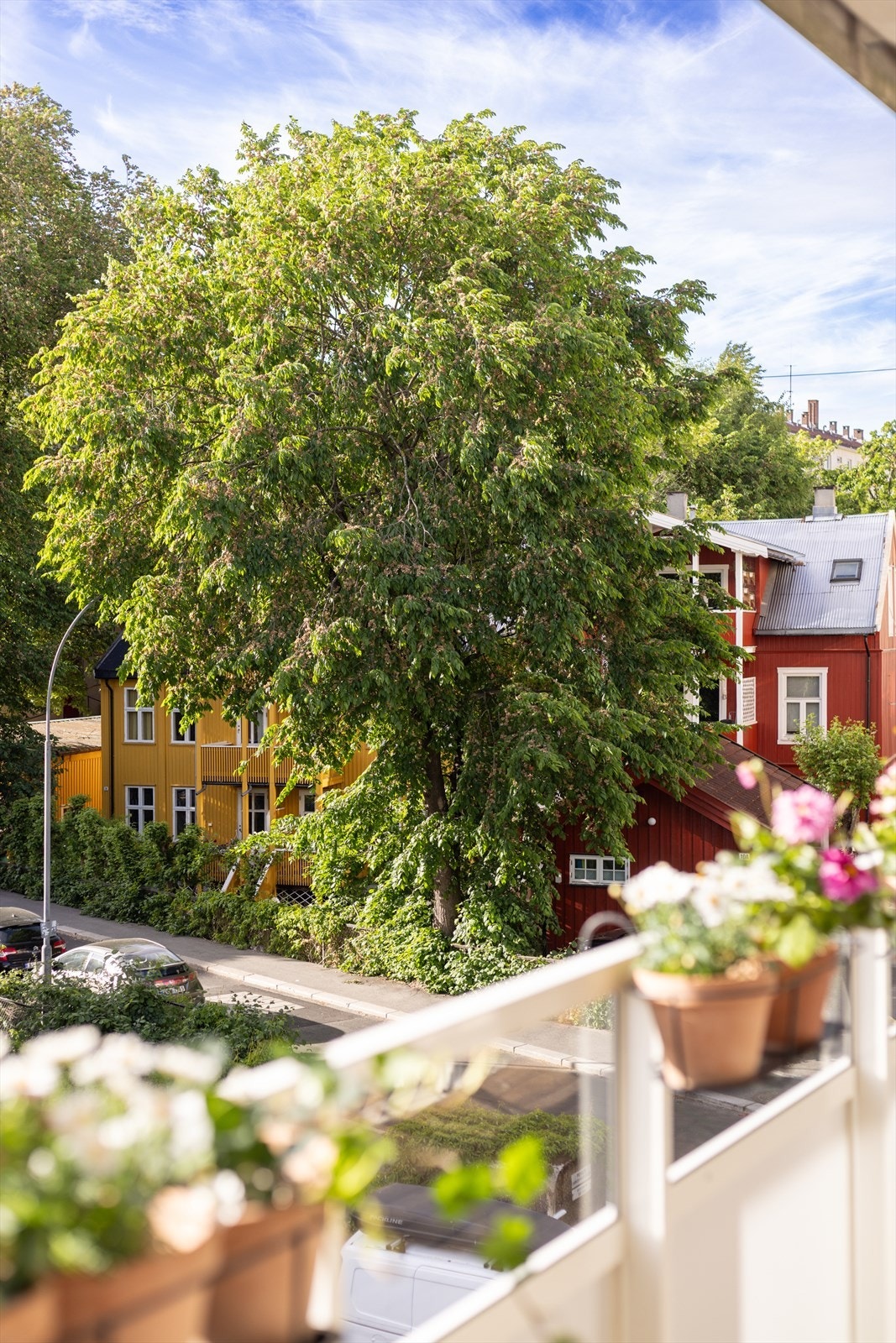 Hyggelig utsikt ut mot rolig gate. Galleribilde