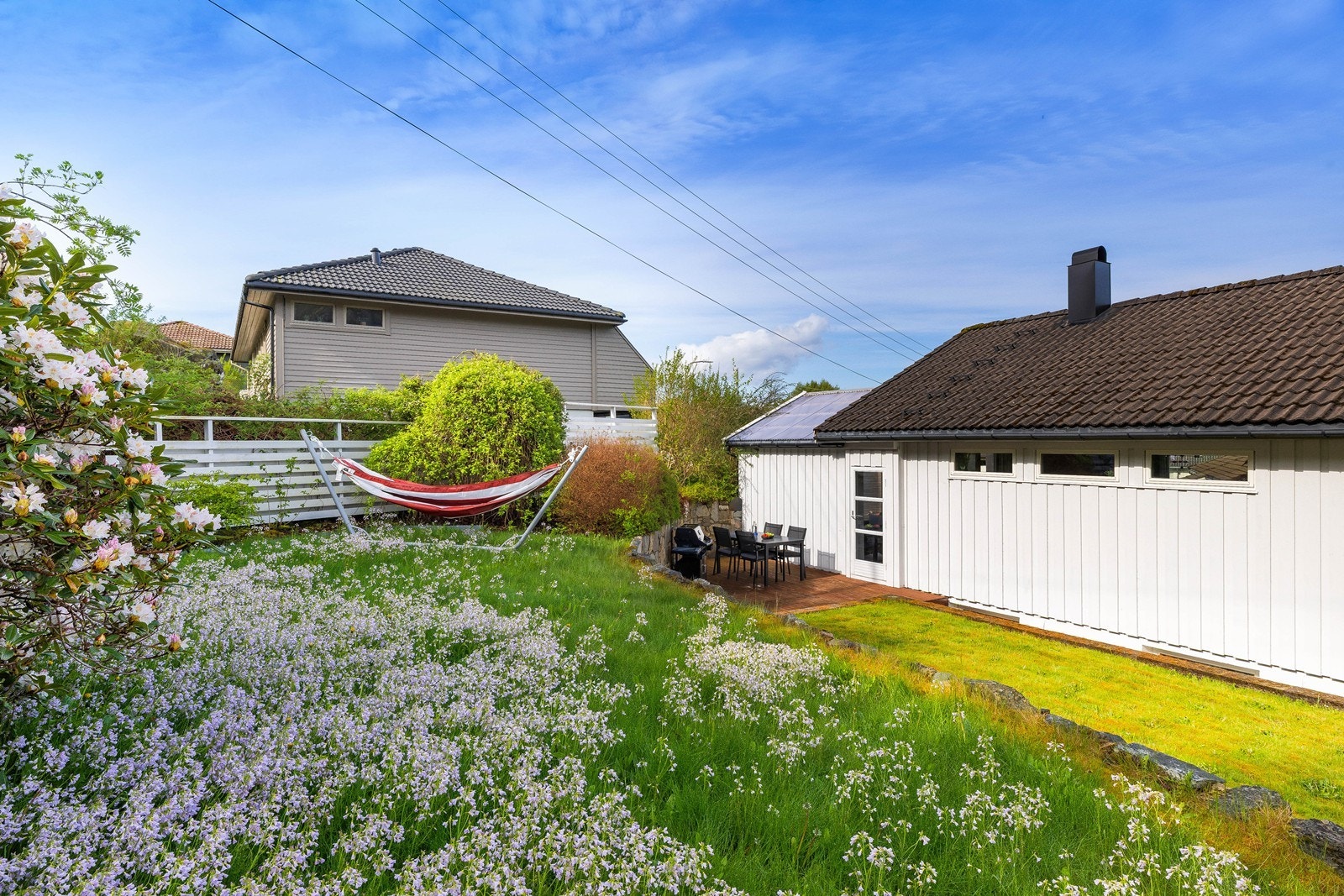 Eget nivå i hagen anlagt som blomstereng -vakkert, naturlig og humlevennlig. Galleribilde