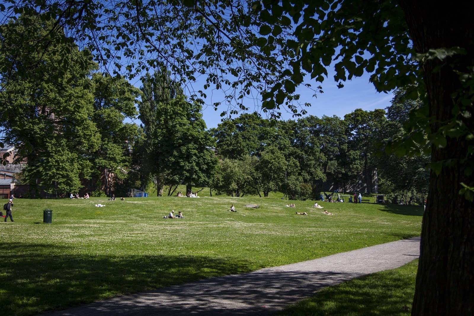 Områdebilde. Galleribilde
