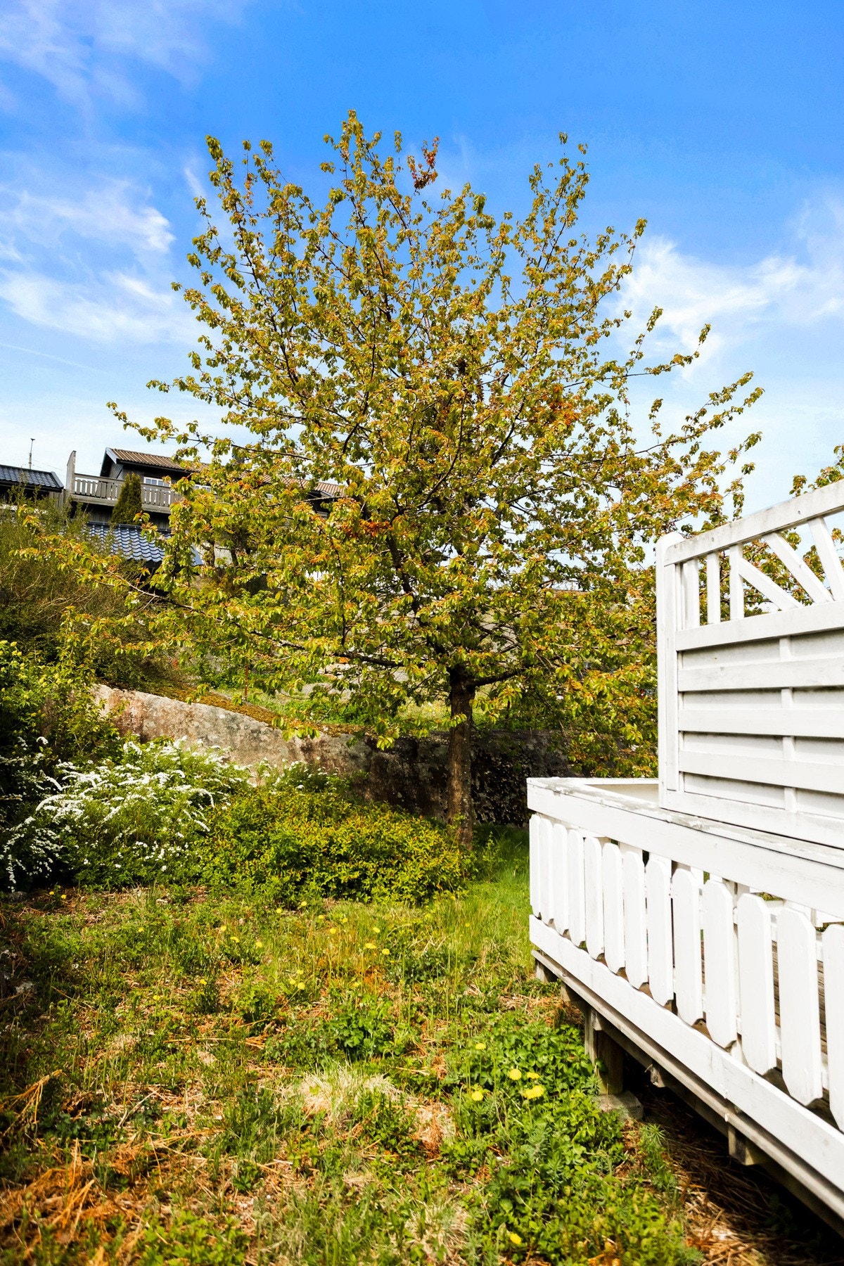 Helle er et rolig og etablert område i Kragerø kommune, kjent for sin nærhet til både natur og fjord. Galleribilde
