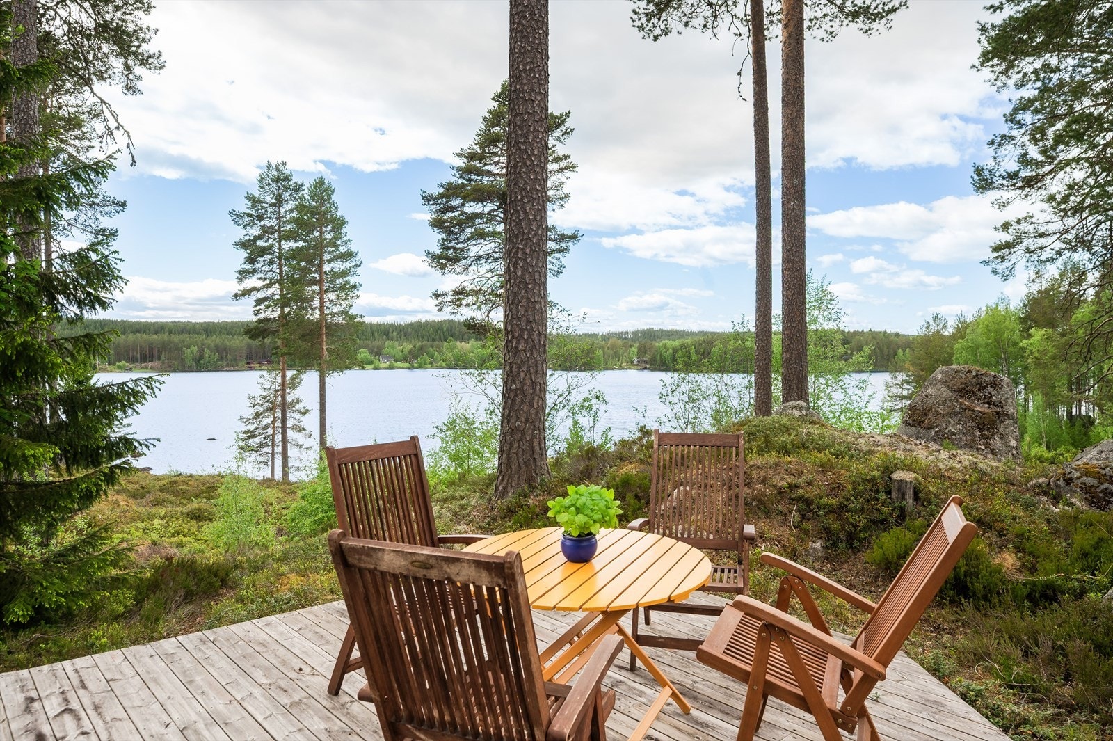 Det er kun naturen som skjermer for utsikten mot sjøen. Galleribilde