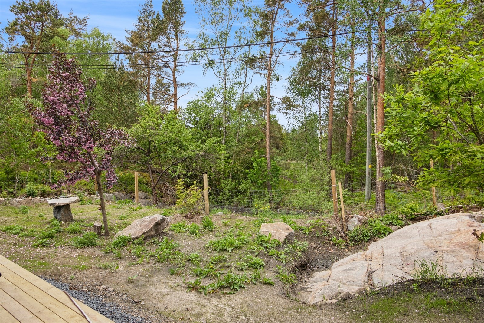 Hagen bak boligen er nylig tilsådd med plen, og gir en herlig sørlandsk stemning med en naturlig kombinasjon av myk plen, svaberg, trær og furuskog. Galleribilde