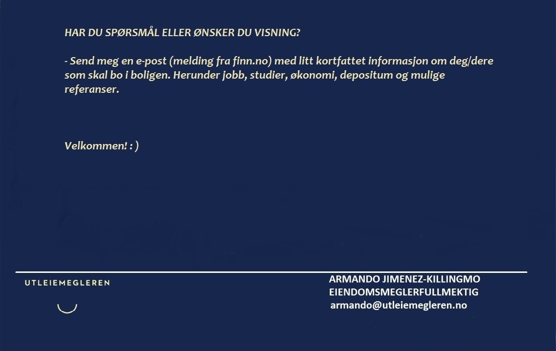 Sett billedbeskrivelse Galleribilde