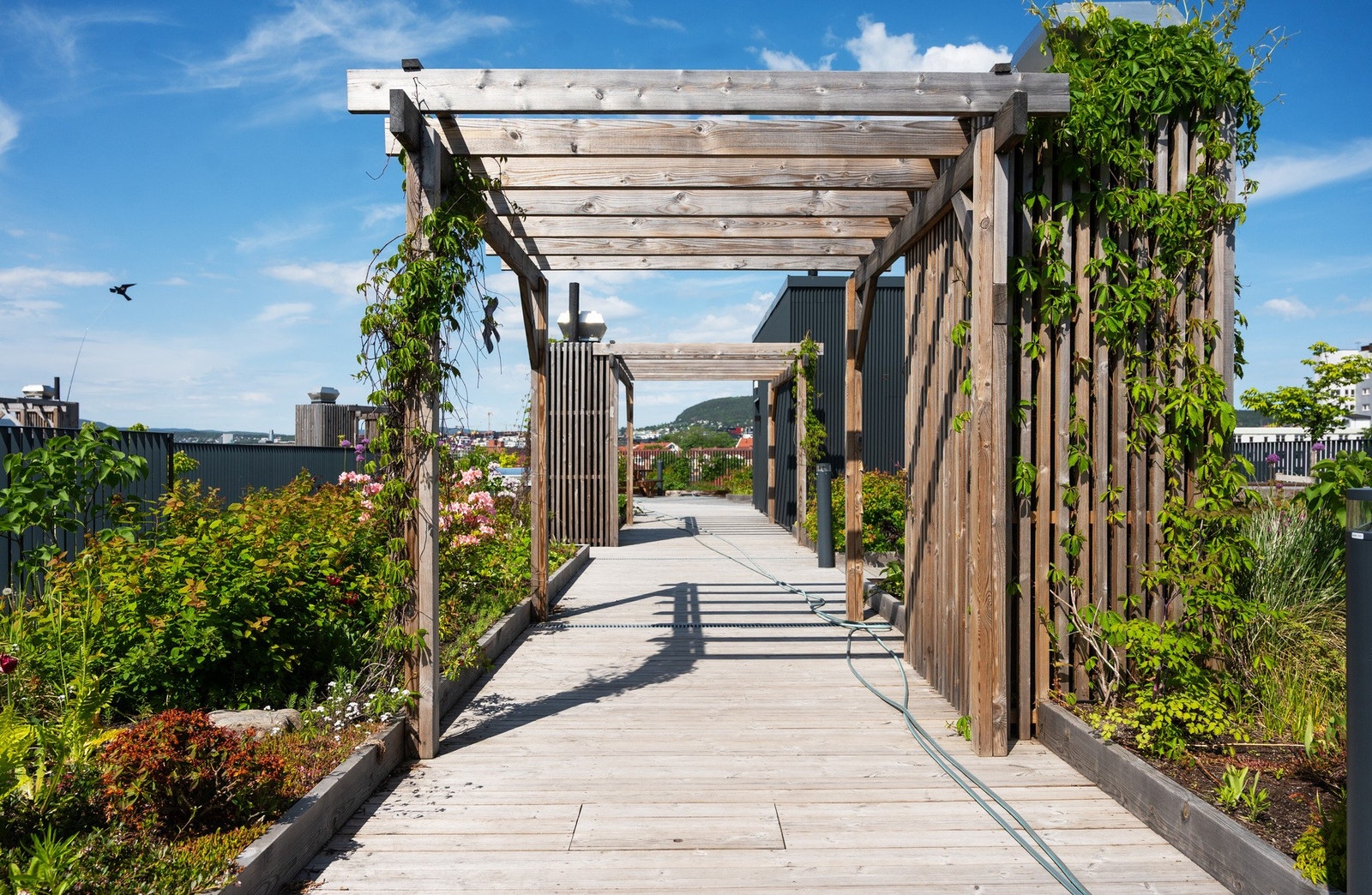 Det er også en takterrasse i bygget som byr på 360 graders vidstrakt utsikt, og med flere hyggelige oppholdssoner, pergola og grønne beplantning. Galleribilde