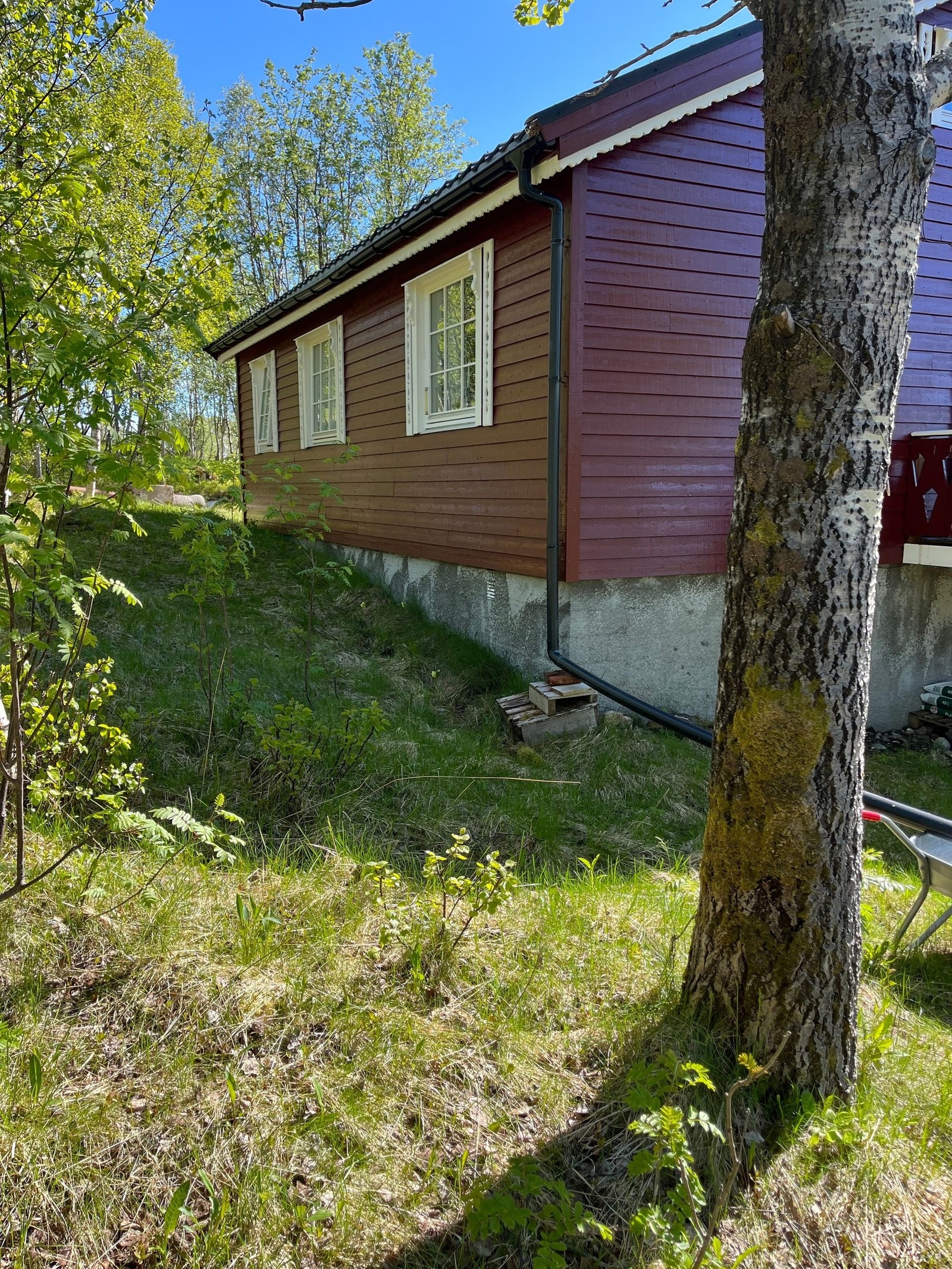 Bakside av hytta Galleribilde