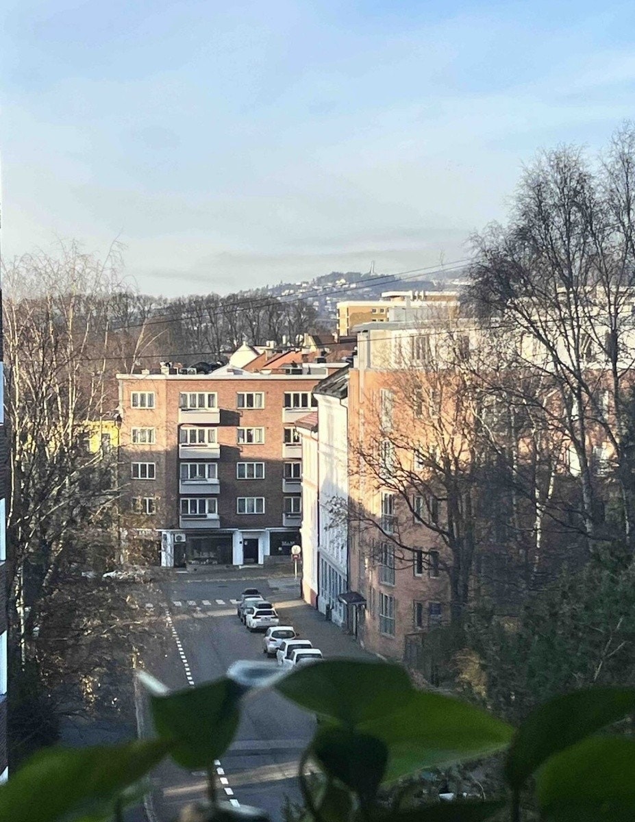 Utsikt til Holmekollen Galleribilde