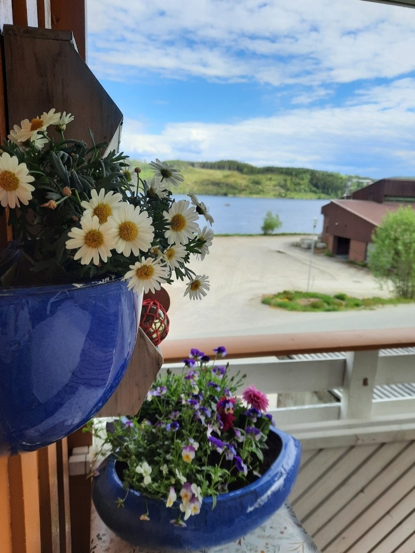Stemningsbilde fra veranda. (Bilde tatt av selger) Galleribilde