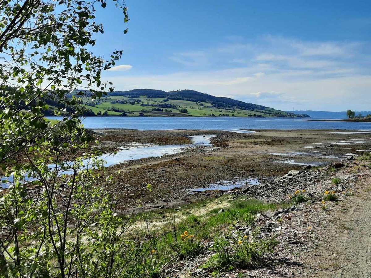 Nærområdet. (Bilde tatt av selger) Galleribilde