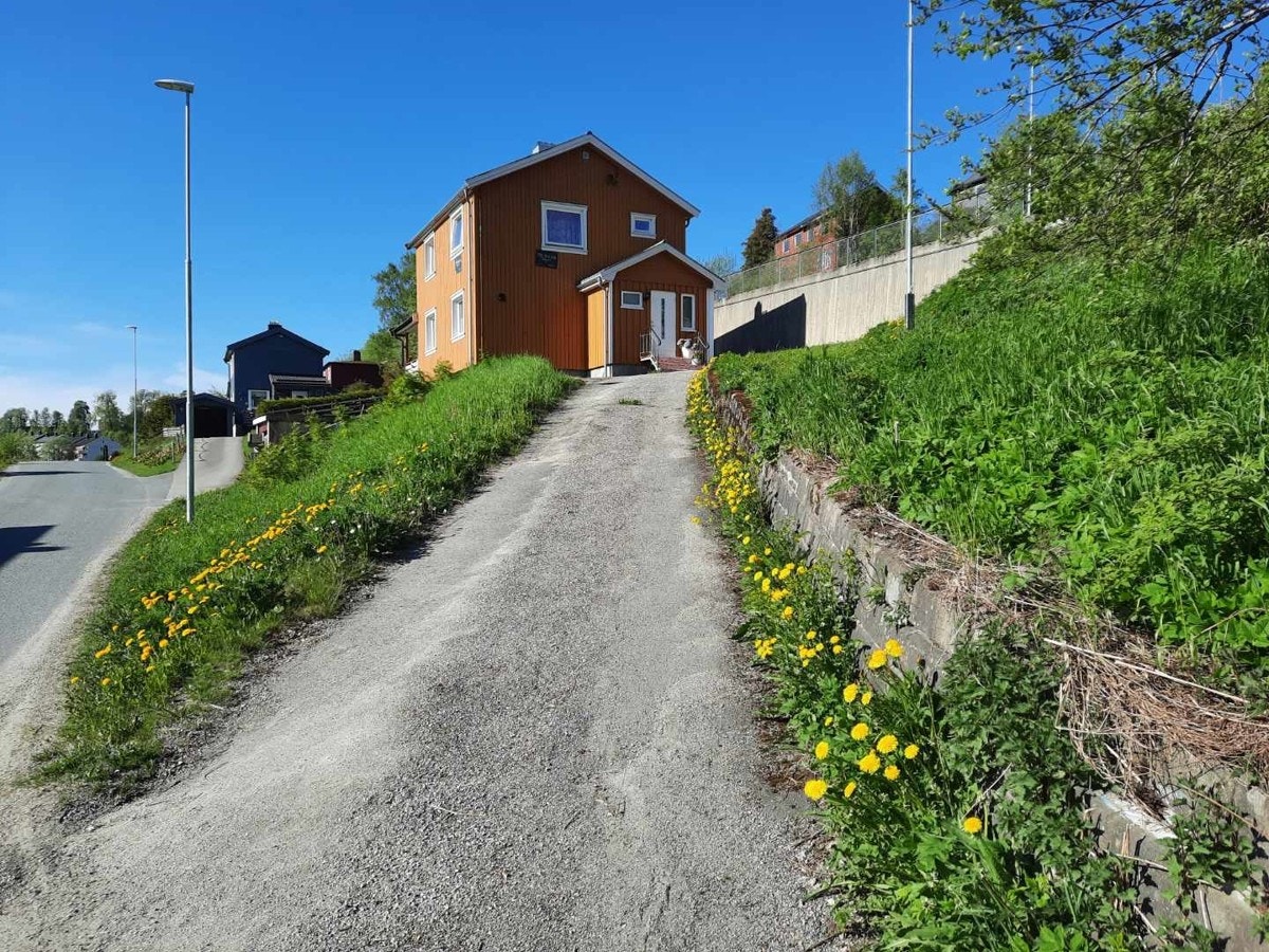 Oppkjørsel og inngangsparti. (Bilde tatt av selger) Galleribilde