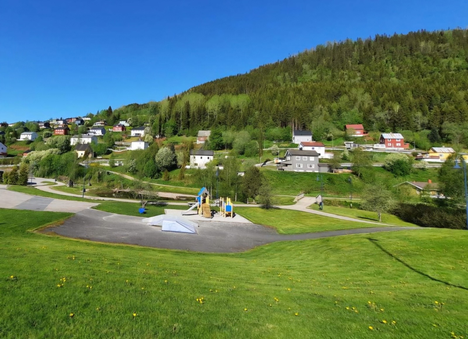 Nærområdet. (Bilde tatt av selger) Galleribilde
