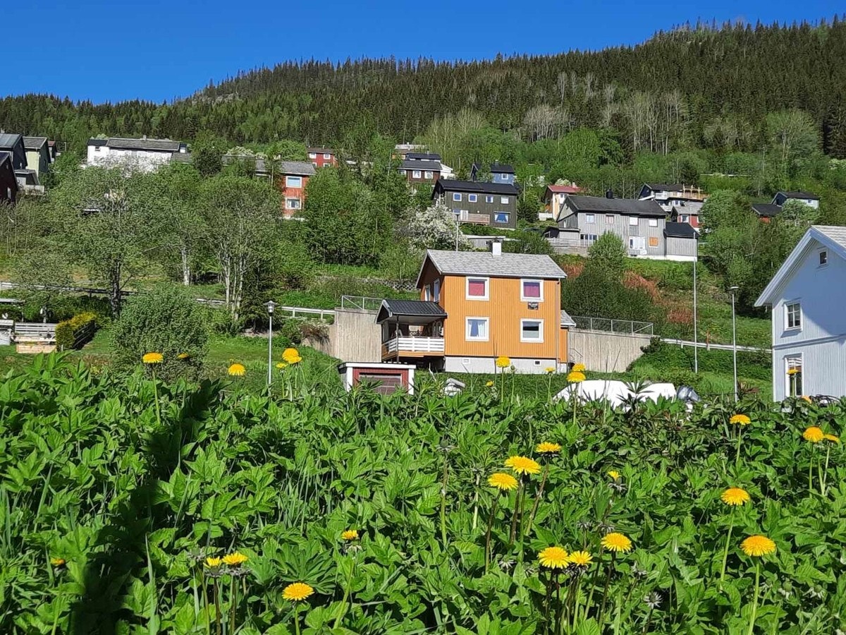 Enebolig med sentral beliggenhet i sentrum av Malm. (Bilde tatt av selger) Galleribilde