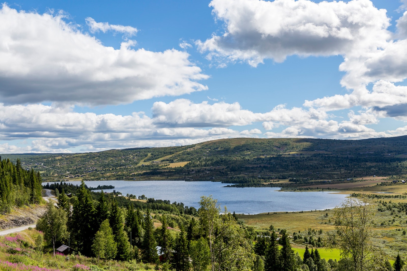 Fra Vaset sommertid Galleribilde