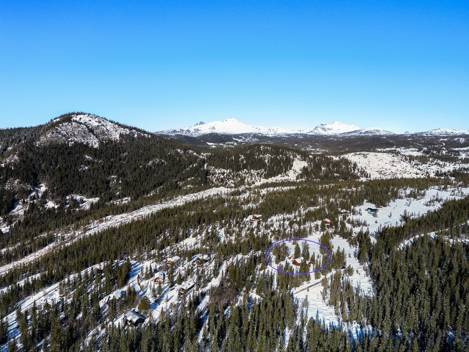 Tuddal ligger på solsiden av Telemarks høyeste fjell, Gaustatoppen (1883 moh.) og naturen her er typisk for Øvre Telemark. Området består av spredt fritidsbebyggelse og rundt hytta finnes det skogkledde lier og vakker natur så langt øyet rekker! Galleribilde