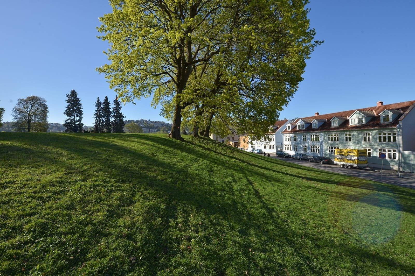 Vålerenga parken er en av flere trivelige parker i nærområdet. Galleribilde