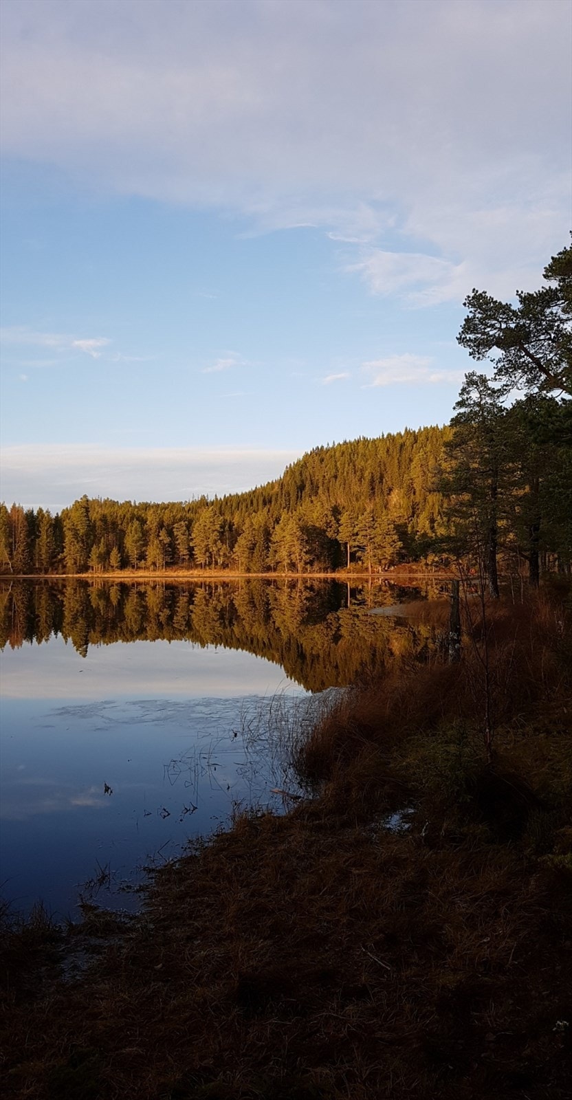 Flotte turområder i umiddelbar nærhet, med blant annet Lauglovatnet ca. 1 km unna. (Selgers eget foto) Galleribilde